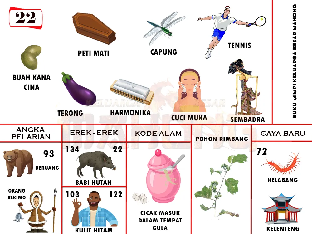 buku mimpi erek erek togel 22