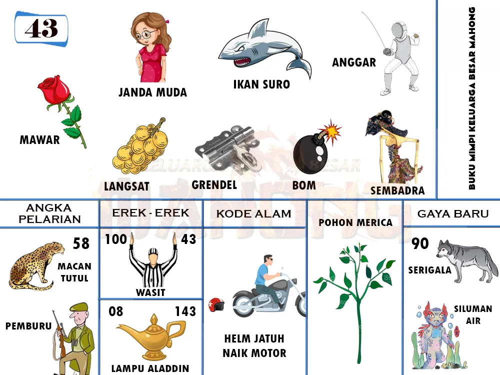 buku mimpi erek erek togel 43