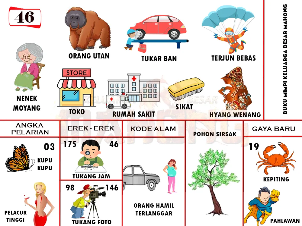 buku mimpi erek erek togel 46