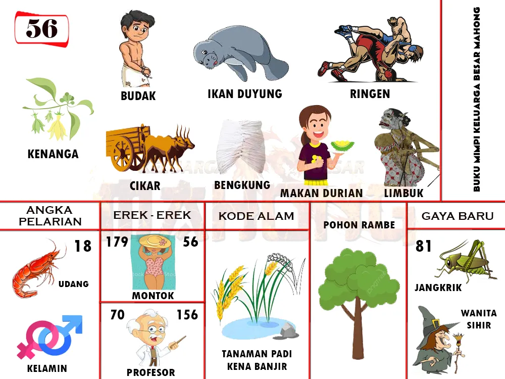 buku mimpi erek erek togel 56